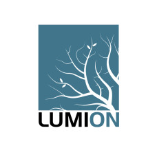 Lumion Pro 2024